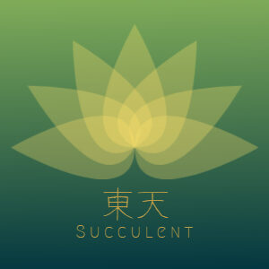 東天 Succulent｜多肉植物・観葉植物